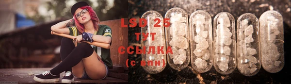 ПСИЛОЦИБИНОВЫЕ ГРИБЫ Зеленодольск