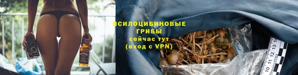 ПСИЛОЦИБИНОВЫЕ ГРИБЫ Зеленодольск