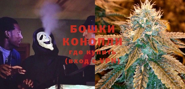 прущие крисы Каменка