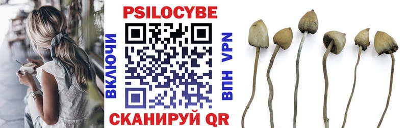 цены   blacksprut маркетплейс  Галлюциногенные грибы MAGIC MUSHROOMS  Кинешма 